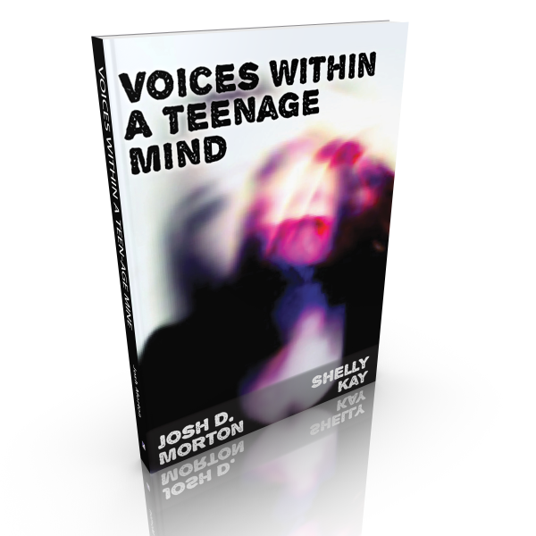 Voices within a Teenage Mind – 2016 Edition