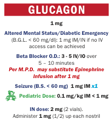 Set of 38 Drug Box Medication Reference Cards