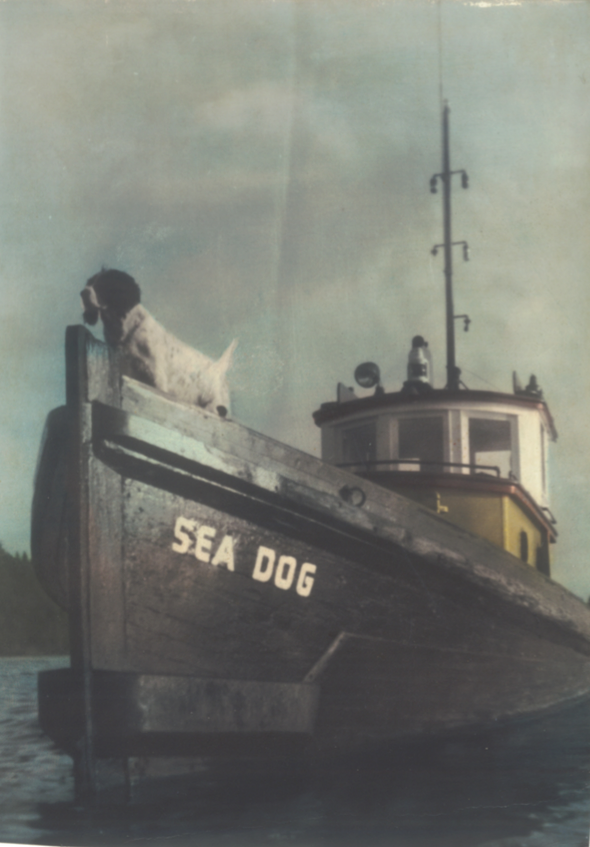 Spirited: Stout Boats Brave Hearts