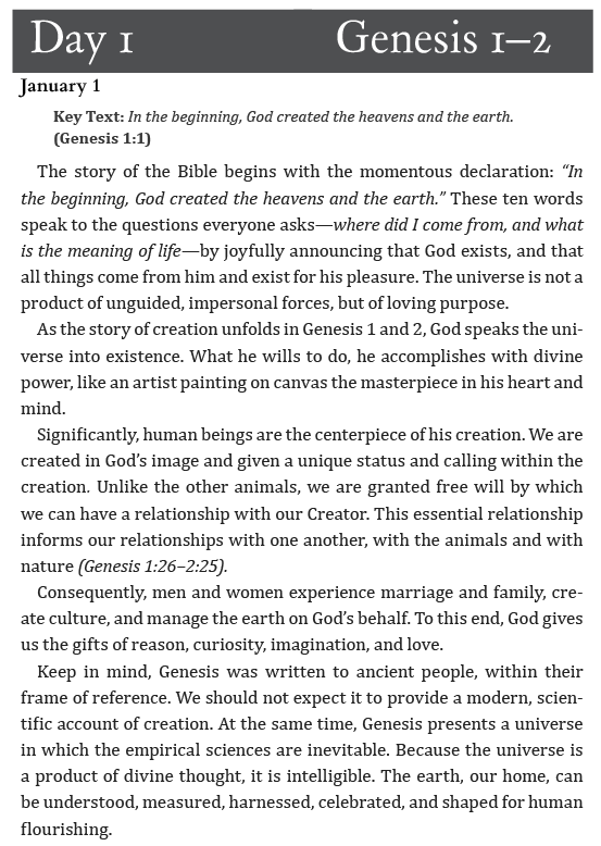 Rediscover The Bible – Or Discover it for the First Time